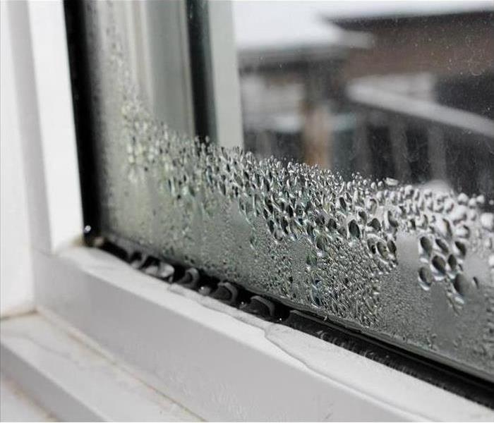 condensation on window; some water damage
